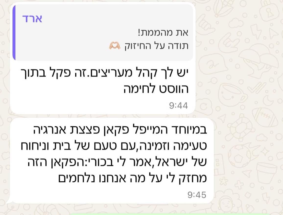 המלצה 1