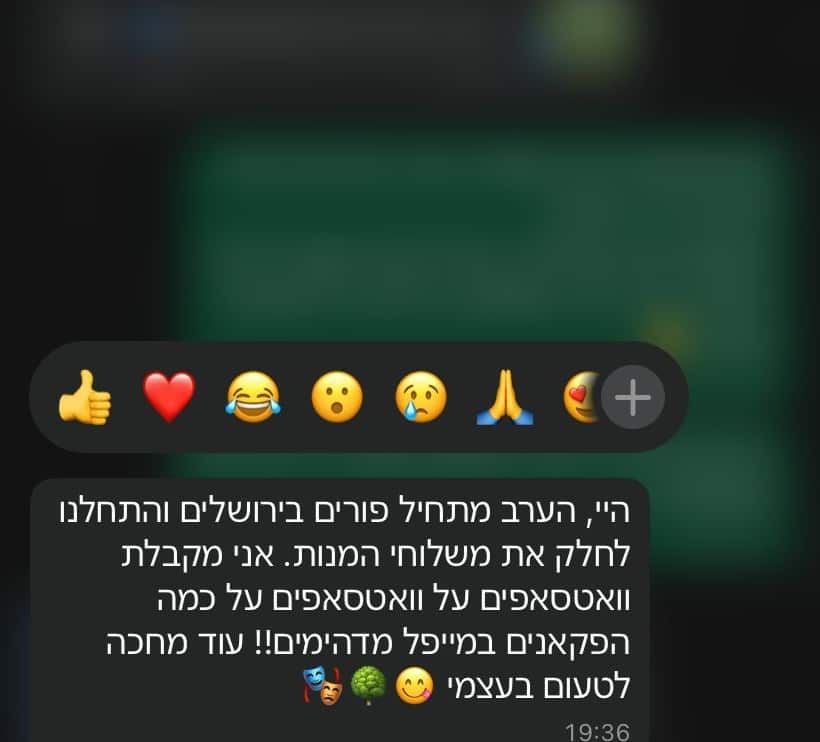 המלצה 4