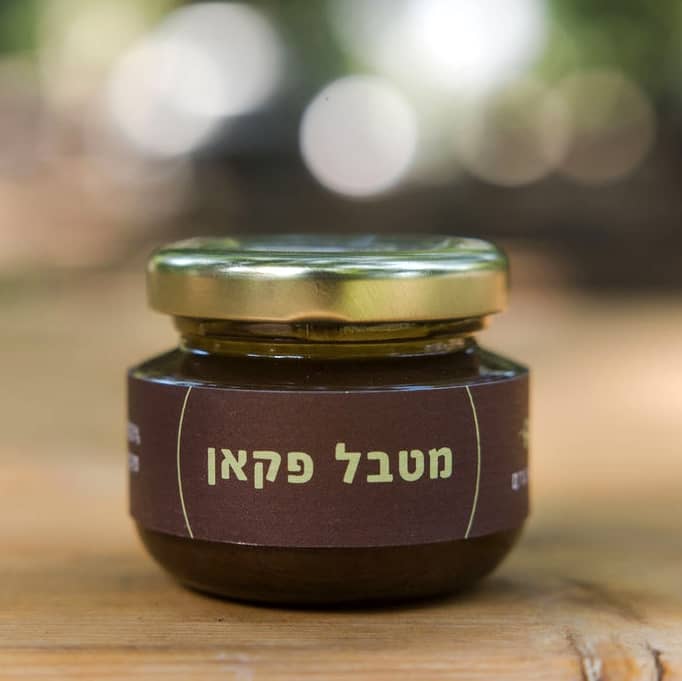 מטבל אגוזי פקאן - פקאן הצפון