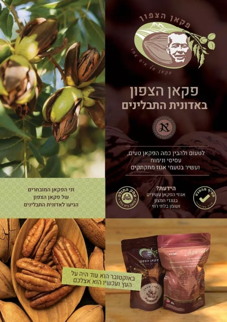 פלייר אדונית התבלינים